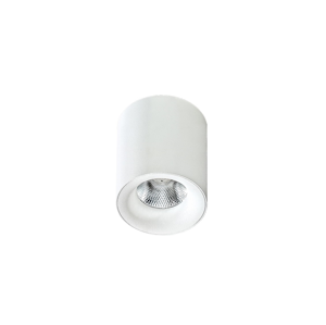 Azzardo Azzardo  - LED Stropné svietidlo MANE 1xLED/10W/230V