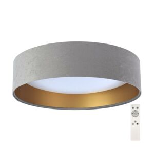 LED Stmievateľné stropné svietidlo SMART GALAXY LED/24W/230V šedá/zlatá + DO