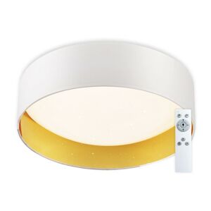 Top Light Top Light - LED Stmievateľné stropné svietidlo LED/24W/230V + diaľkové ovládanie biela