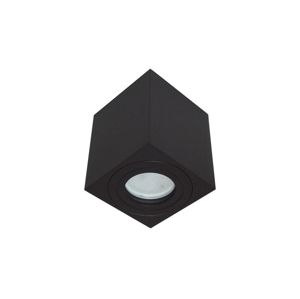 Vonkajšie bodové svietidlo SARA 1xGU10/30W/230V IP54 čierna